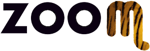 Zoom Torino-logo